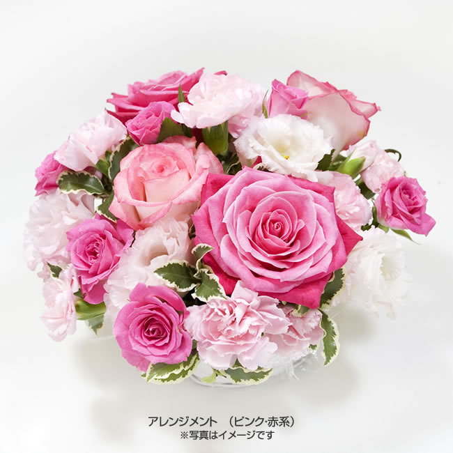 アレンジメント | お祝いの花商品 | 【電報サービス】VERY CARD