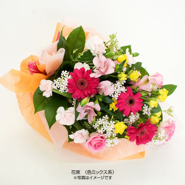 専用:お花屋さんMoisteane premium WS sheet 20枚 スタンド花 お祝い 20 | お祝いの花商品 | 【電報サービス】VERY