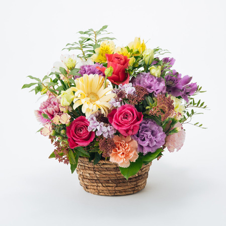 乾燥稲 アレンジメント用 20本✕30束 乾燥稲 アレンジメント用 20本