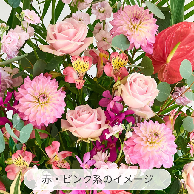 スタンド花 72 | お祝いの花商品 | 【電報サービス】VERY CARD