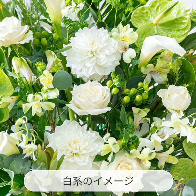 スタンド花 72 | お祝いの花商品 | 【電報サービス】VERY CARD