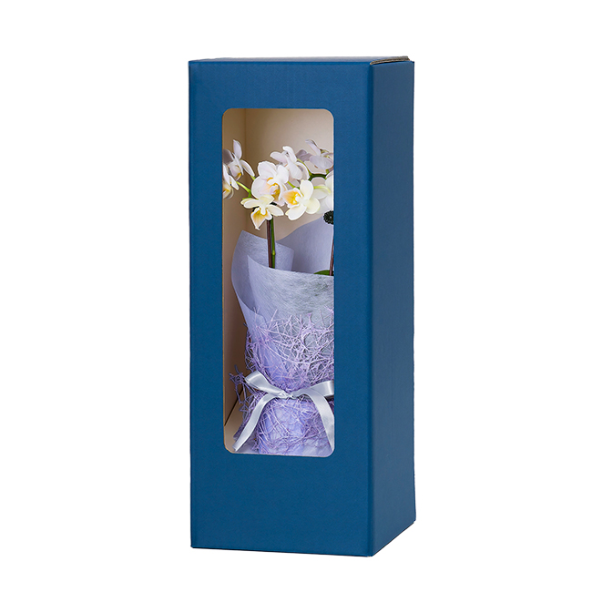 胡蝶蘭 偲び花（淡紫の祈り) | 弔電商品 | 【電報サービス】VERY CARD