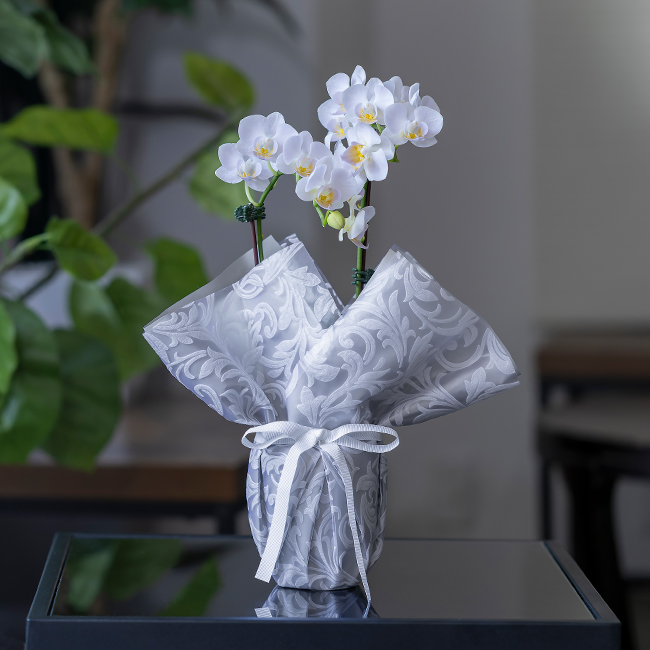 胡蝶蘭 偲び花（銀の祈り) | 弔電商品 | 【電報サービス】VERY CARD