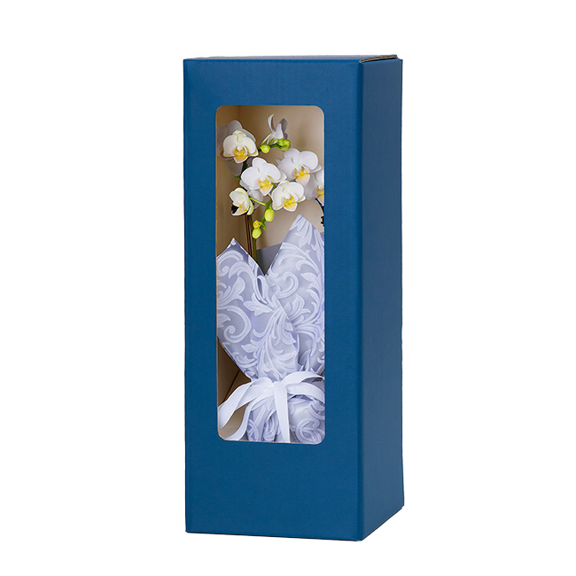 胡蝶蘭 偲び花（銀の祈り) | 弔電商品 | 【電報サービス】VERY CARD