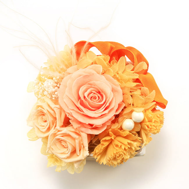 Joie! プリザーブド オレンジ | 祝電商品 | 【電報サービス】VERY CARD