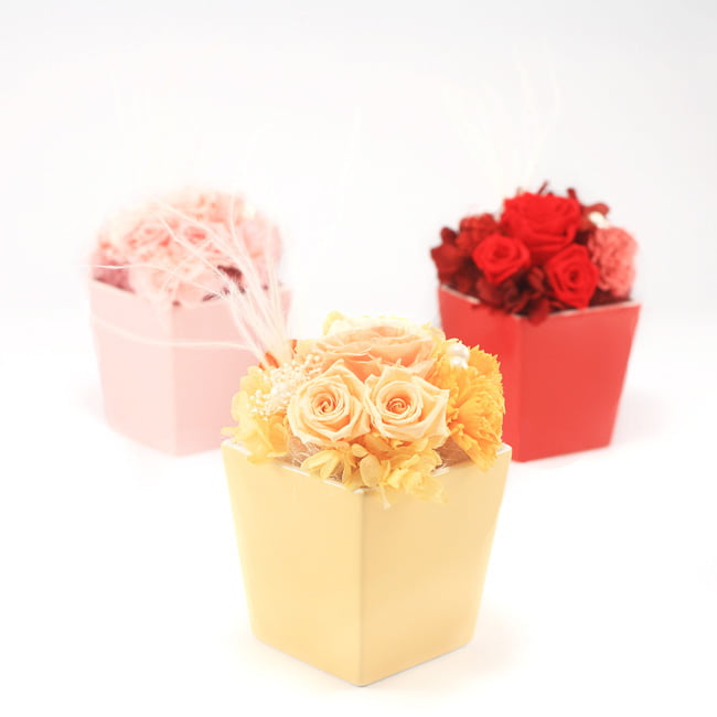 Joie! プリザーブド オレンジ | 祝電商品 | 【電報サービス】VERY CARD