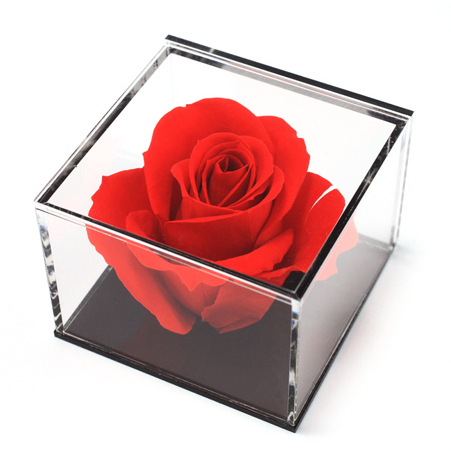 プリザーブドメッセージ | 祝電商品 | 【電報サービス】VERY CARD