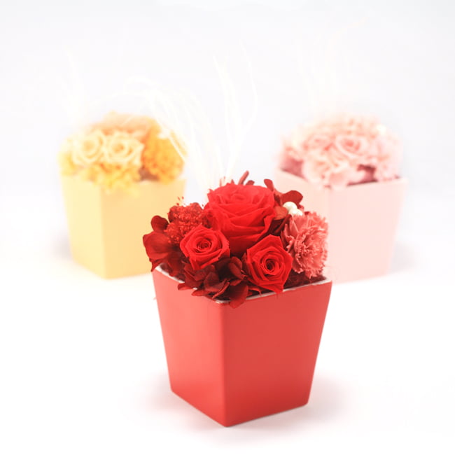 Joie! プリザーブド レッド | 祝電商品 | 【電報サービス】VERY CARD