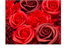 ジャイアントフラワー レインボー | 祝電商品 | 【電報サービス】VERY CARD