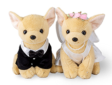 * antique bear ୨୧ * 小さくて可愛い トラ猫ちゃん Amazon.co.jp: 【のびねこ さくら】 さくーら 桜 花見 春
